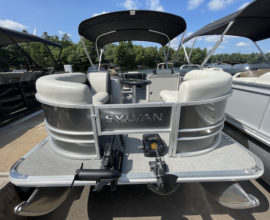 Sylvan 8520 Mirage Party Fish