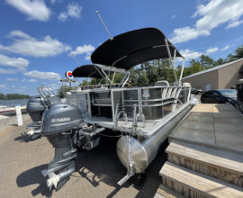 Sylvan 8520 Mirage Party Fish