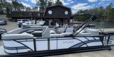 Sylvan L-3 Party Fish