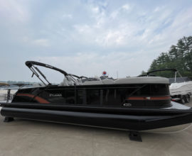 Sylvan L-5 DLZ